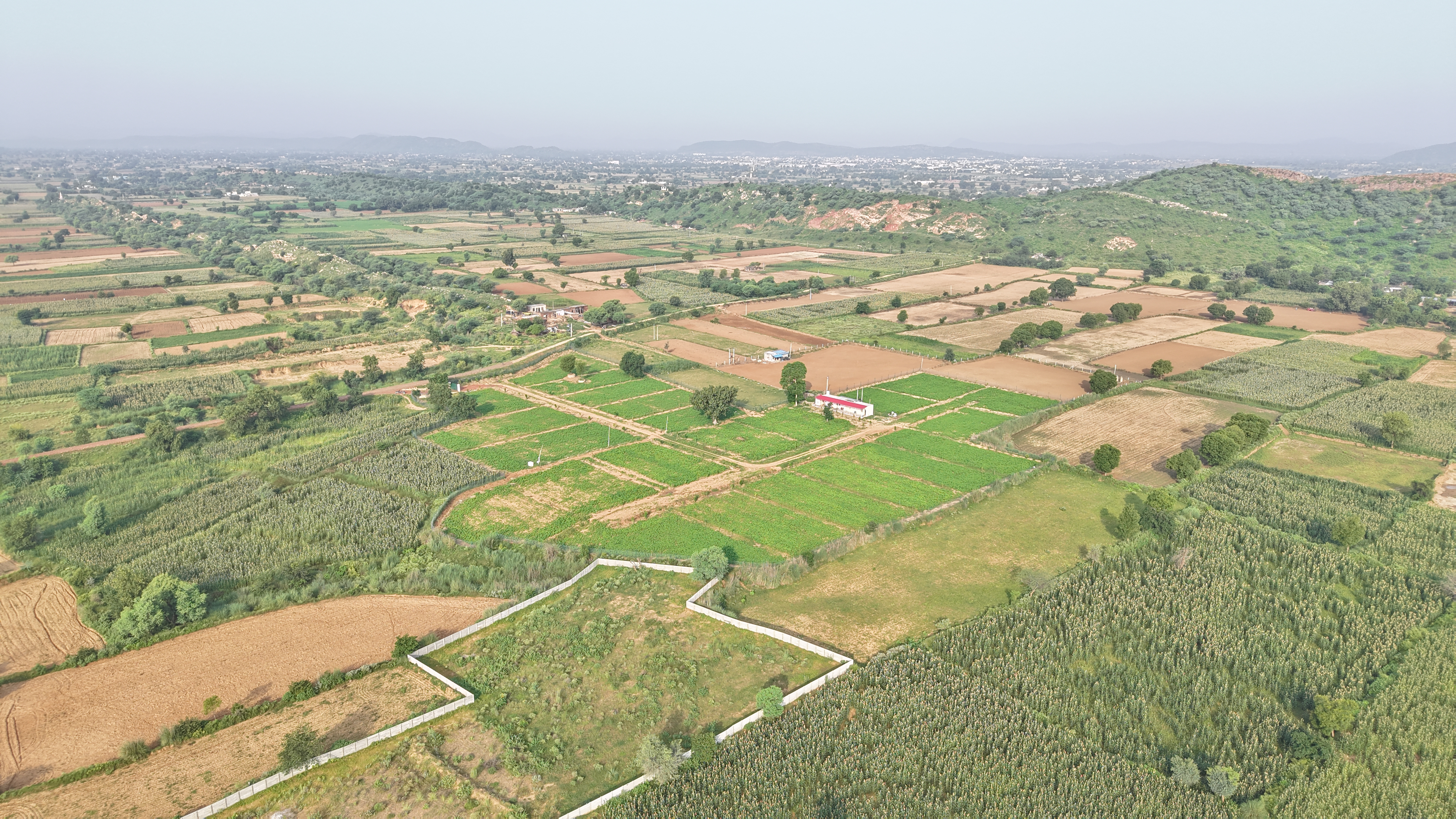 beautiful-farmhouse-land-with-aravalli-hill-views-at-vyom-chhatarpur-farms